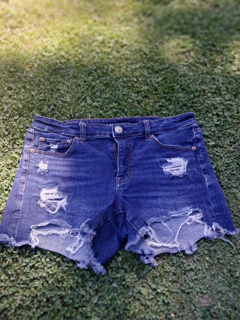 American Eagle Outfitters Distressed Dark Indigo Denim Shorts